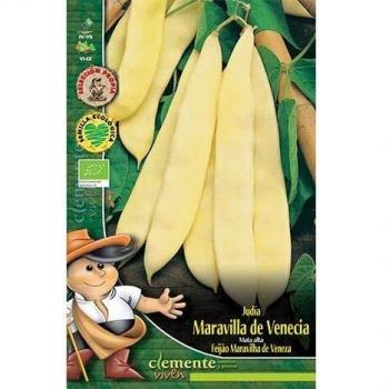 Semillas ecológicas de Judia Maravilla De Venecia
