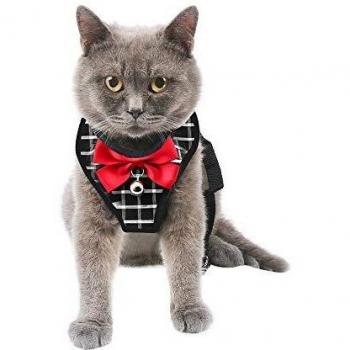 Mnioky Arnés para Gato y Correa a Prueba de Escape, arnés de Malla Tipo Chaleco, Ajustable y Suave para pasear al Gato, para Gatos pequeños medianos Grandes Gatito Cachorro Conejo,harnais Petit Chien