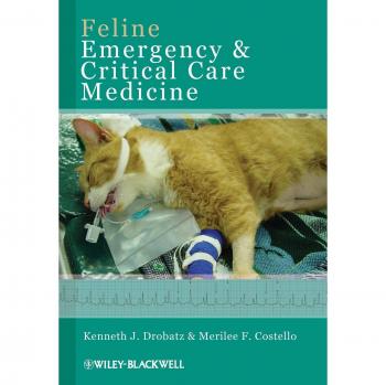 Iowa State University Press Cat Emergency and Critical Care Medicine