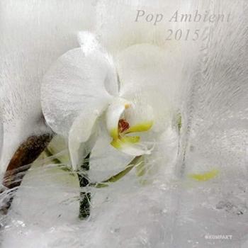 POP AMBIENT 2015