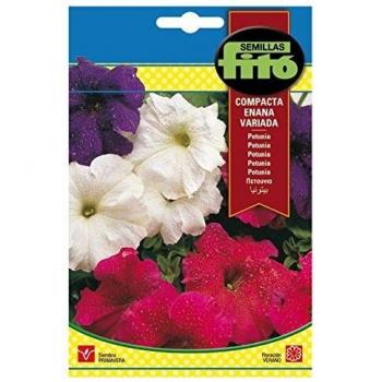 Semilla Petunia compacta enana variada - Semillas Fitó