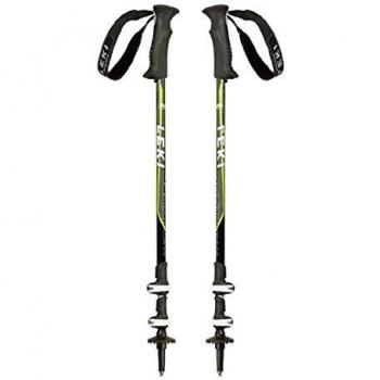 Leki - Batons - Quantum Gris/Vert