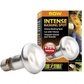 Exo Terra Lámpara Intense Basking Spot, 50 W