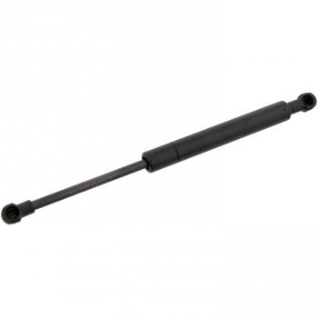 Muelle Neumático FEBI BILSTEIN 27595 para Capó de Motor BMW X5 E53, Izquierdo/Derecho