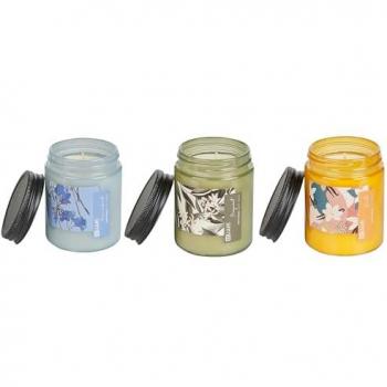 Conjunto de 3 velas perfumadas multicolores 100% cera de soja con mecha de algodón y fragancias florales frescas: bergamota, vainilla, geranio y lavanda