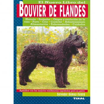 Bouvier De Flandes