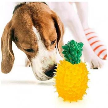 Juguete para Perros Frutas