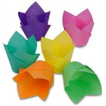 Staedter Tulip Cupcake, Multicolor, Juego de 12