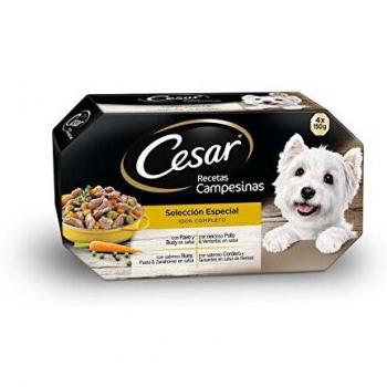 Cesar Wet Food for Dogs Selection Country Recipes in Multipack Sauce (4 x 150 g)