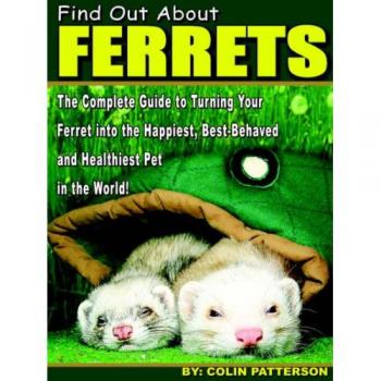 Comprehensive Ferret Guide by Colin Patterson