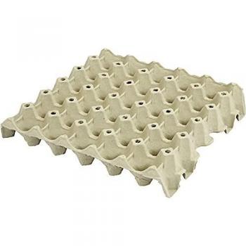 Caja para huevos, altura 4 cm, tamaño 29x29 cm, 20 unidades