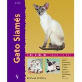 Gato Siamés
