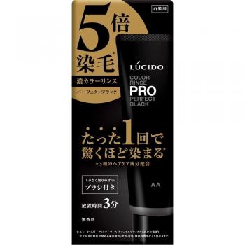 Professional Black Color Rinse 120g