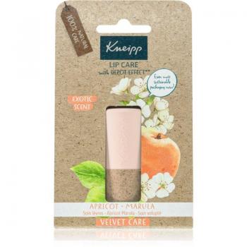 Kneipp Apricot & Marula Lip Balm 4.7 g