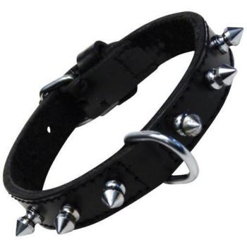 Collar de Piel con 1 Fila de Pinchos en Negro y Varias Medidas