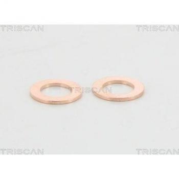 Latiguillo de freno TRISCAN 8150 13137 - Tipo: Latiguillo de freno, Marca: TRISCAN, Referencia: 8150 13137