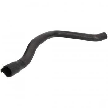 Manguito de Radiador THERMOTEC DWP096TT para PEUGEOT 406 Berlina y Familiar