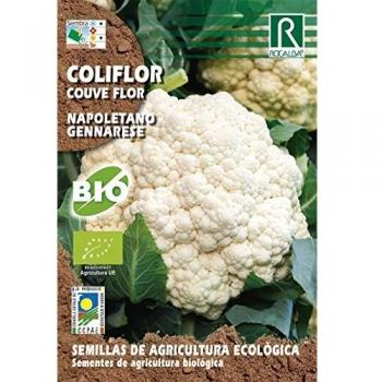 Semillas ECOLOGICAS Coliflor Napoletano, 1 gr.