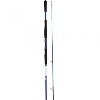 Quantum Meeresruten Spinnruten 2.70m Bass Basha M 10-40g - Caña de pesca de lanzado, color multicolor, talla 10-40 g