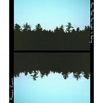 Now That The Light Is Fading [VINYL]