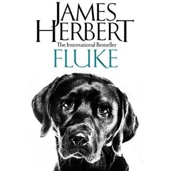 Fluke