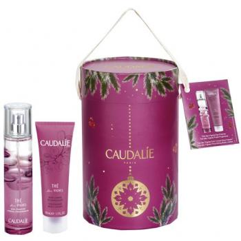 CAUDALIE AGUA FRESCA THÉ DES VIGNES (100 ML)
