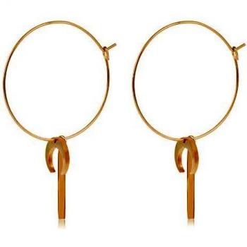 Córdoba Jewels | Pendientes en plata de ley 925 bañada en oro con diseño Aros Luna Barra Gold