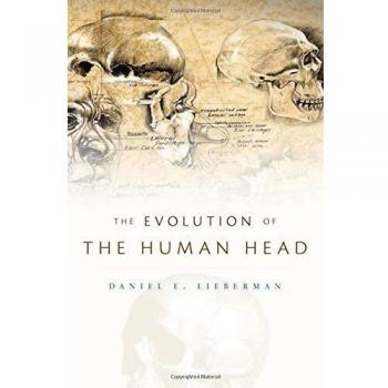 Evolution of the Human Head