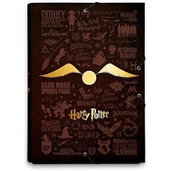 ERIK - Carpeta solapas Gafas, Harry Potter