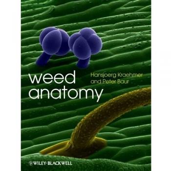 Weed Anatomy