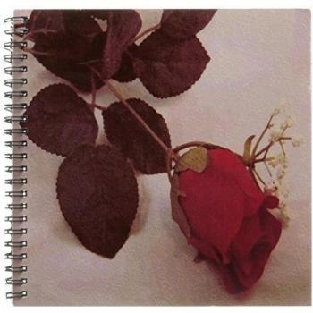 3dRose db_14138_1 Red Rose Oil Painting-Drawing Book, 8 by 8-Inch