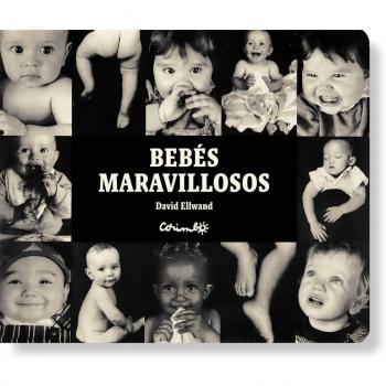 Bebés maravillosos - ELLWARD, DAVID