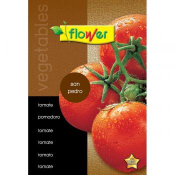Tomate Tres Cantos 50564 Flower
