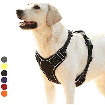 HEELE Arnes Perro Arnes Perro Grande Arnés Antitirones Perros con Lineas Reflecantes Cómodo Transpirable Chaleco Acolchado Ajustable para Adiesreamiento Correr Aire Libre Negro, L