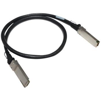 Cable de fibra óptica 5 m QSFP28 Negro Aruba R0Z26A