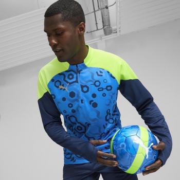 Camiseta de fútbol Puma IndividualCUP 1/4 Zip para hombre