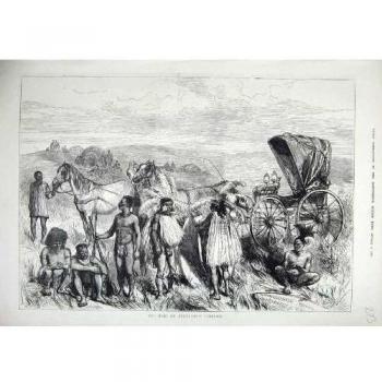Impresión Vieja 1875 de los Naturales de los Caballos de Carro de Rey Zululands [Cocina y Hogar]