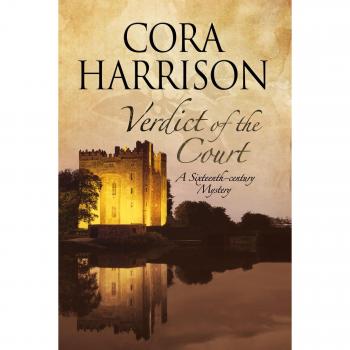 Verdict of the Court: A mystery set in sixteenth-century Ireland