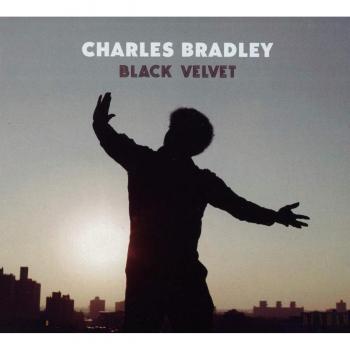 Black Velvet