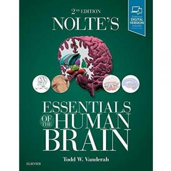 Nolte’s Essentials of the Human Brain, 2nd Edition: Comprehensive Neuroanatomy and Function Guide