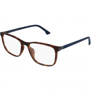 Police Black Unisex Sunglasses 55 MM