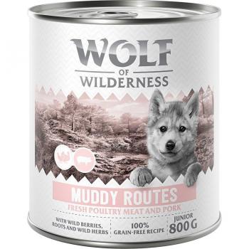 Wolf of Wilderness Expedition Junior 6 x 800 g - Muddy Routes - Ave con cerdo