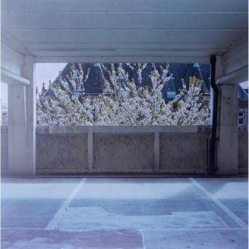 Darkstar Foam Island - First Edition - Sealed 2015 UK vinyl LP WARPLP258
