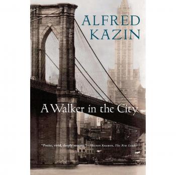 A Walker in the City