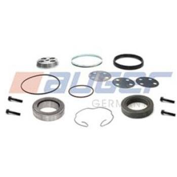 Kit reparación muñón eje (soporte ballesta) AUGER 76655 - Peso: 13,519 kg