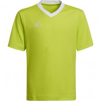 Camiseta de Fútbol Adidas Entrada 22 para Niños Verde y Blanco 116