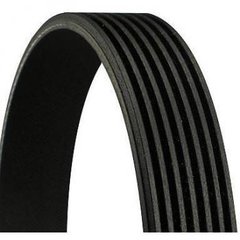 Correa Trapecial Poli V CONTITECH 7PK994 EXTRA