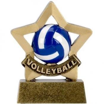 Trofeo de voleibol (3.5) - Mini estrellas trofeo Alcance