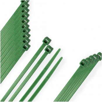 Brida Nylon Verde 4,6 x 300 mm (100 Unidades)