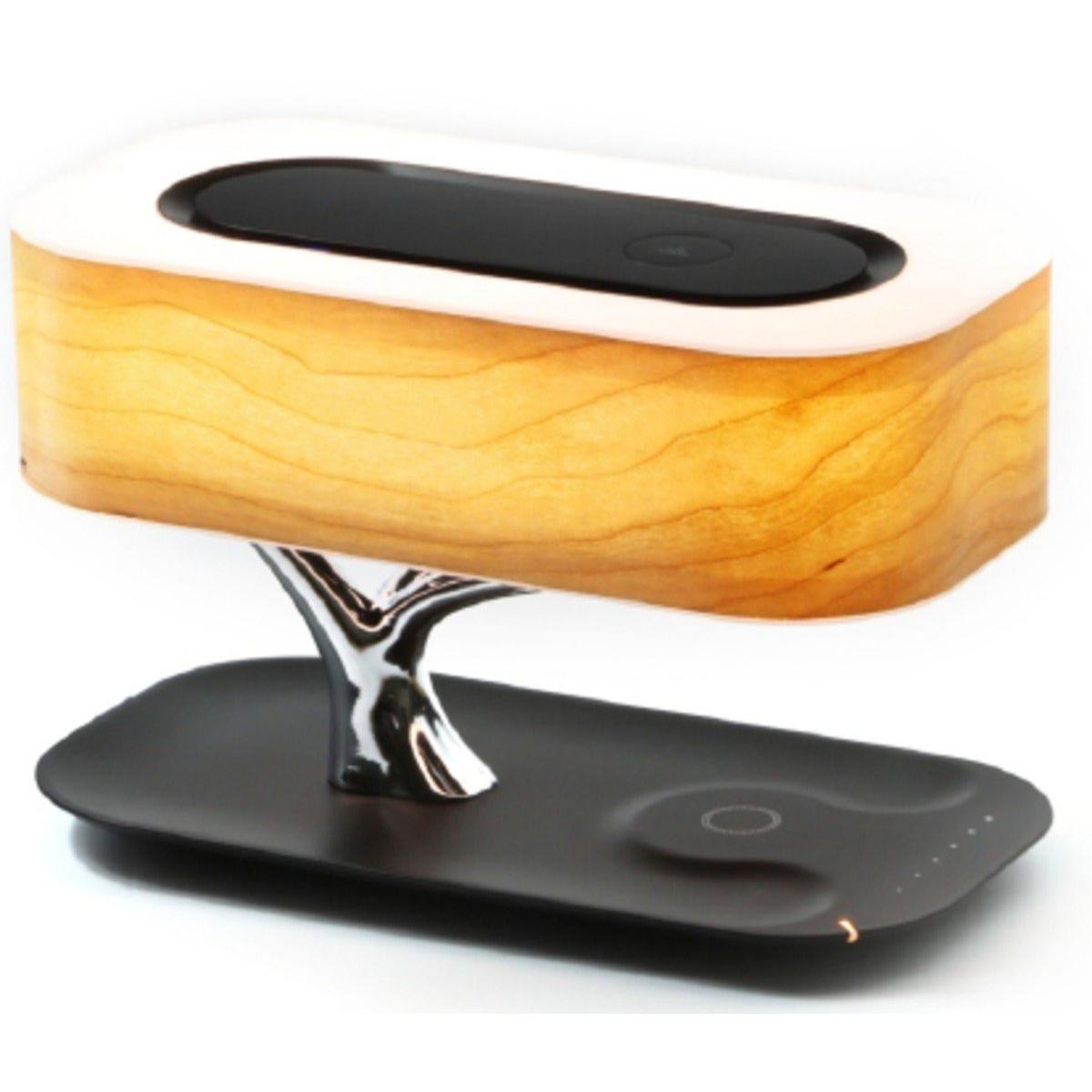 Imagen Principal